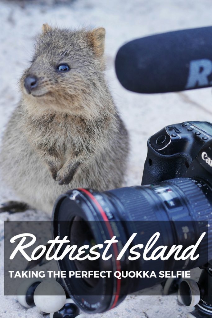 Rottnest Island and the perfect quokka selfie