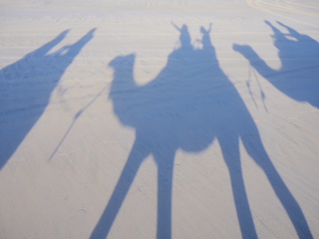 Camel Ride on Cable Beach Australia